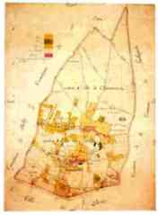 Cadastre parcellaire de Montmartre